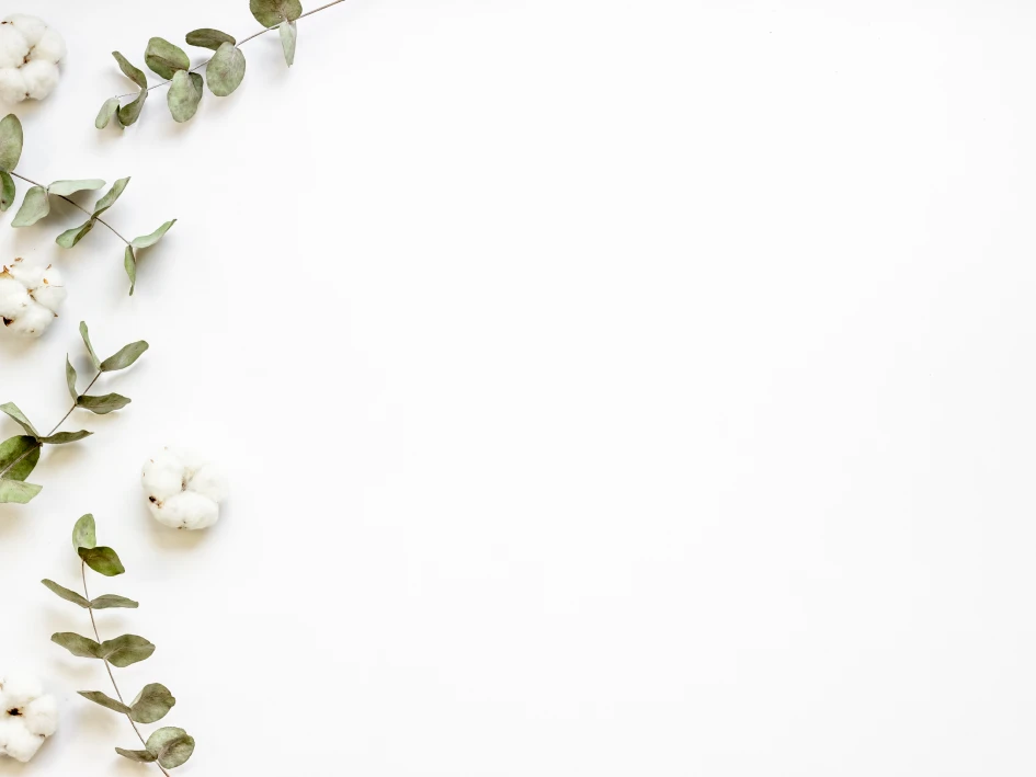 Fondo MASAJE 360º (Tentación)