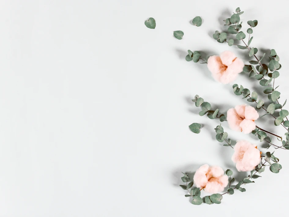 Fondo MASAJE GOLD MUTUO (Especialidad)