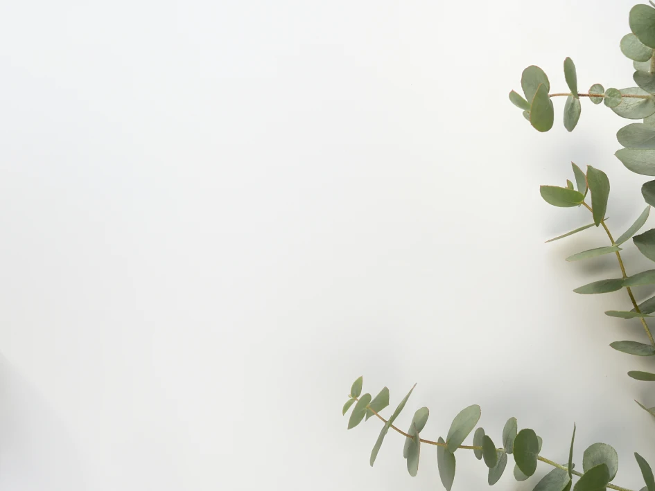 Fondo MASAJE PREMIUM (Doble)